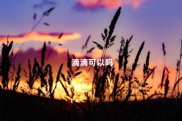 滴滴可以吗