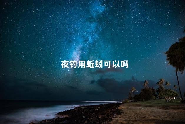 夜钓用蚯蚓可以吗