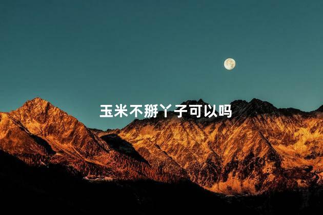 玉米不掰丫子可以吗