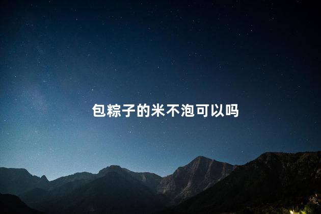 包粽子的米不泡可以吗