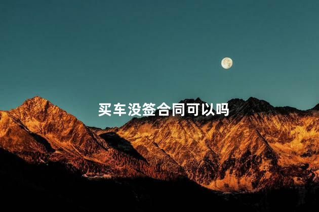 买车没签合同可以吗