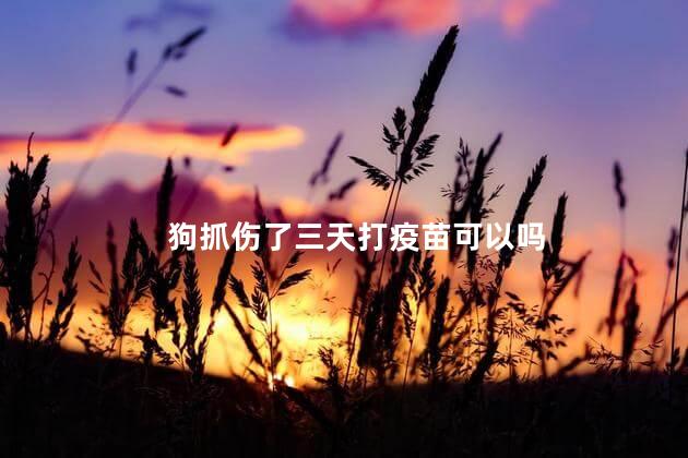 狗抓伤了三天打疫苗可以吗