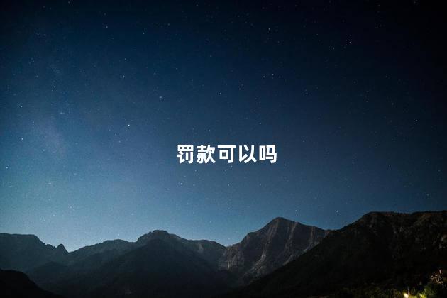 罚款可以吗