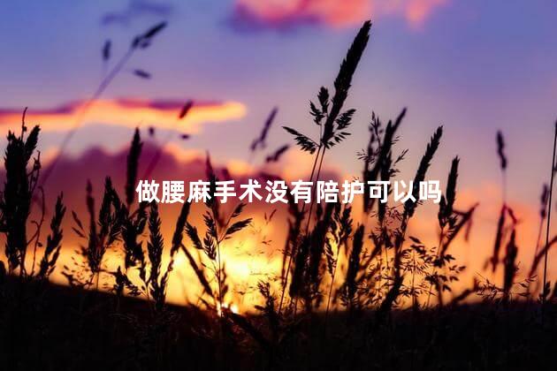 做腰麻手术没有陪护可以吗