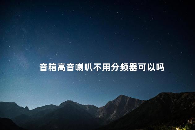 音箱高音喇叭不用分频器可以吗