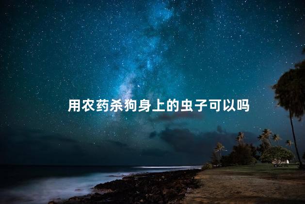 用农药杀狗身上的虫子可以吗