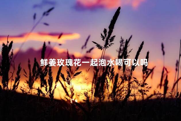 鲜姜玫瑰花一起泡水喝可以吗