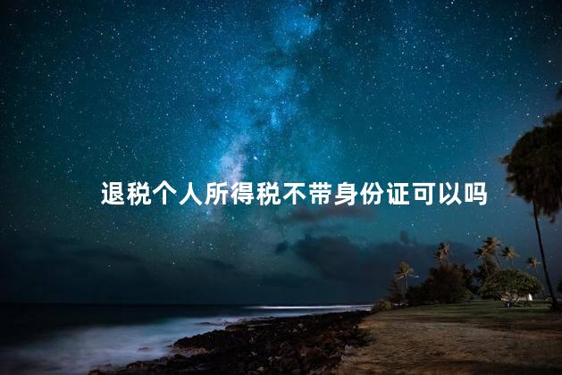 退税个人所得税不带身份证可以吗