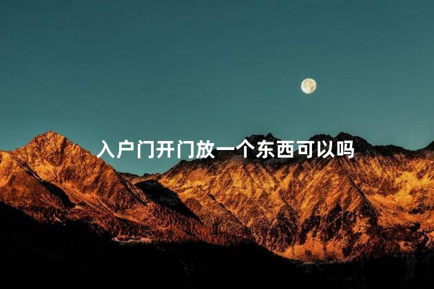 入户门开门放一个东西可以吗