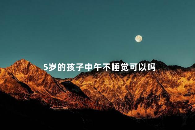 5岁的孩子中午不睡觉可以吗