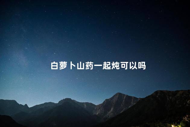 白萝卜山药一起炖可以吗