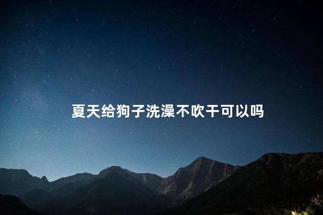 夏天给狗子洗澡不吹干可以吗