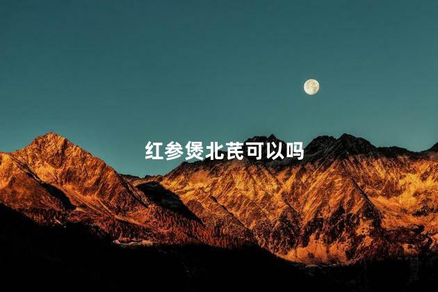 红参煲北芪可以吗