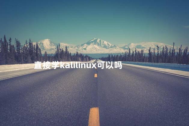 直接学kalilinux可以吗