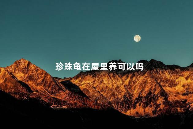 珍珠龟在屋里养可以吗