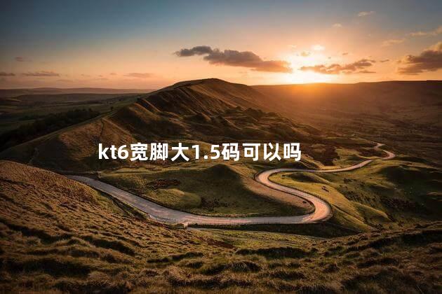 kt6宽脚大1.5码可以吗