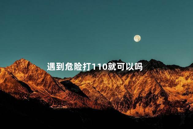 遇到危险打110就可以吗