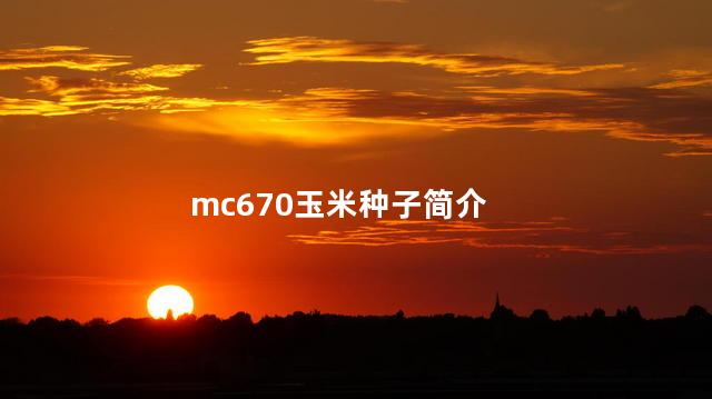 mc670玉米种子简介