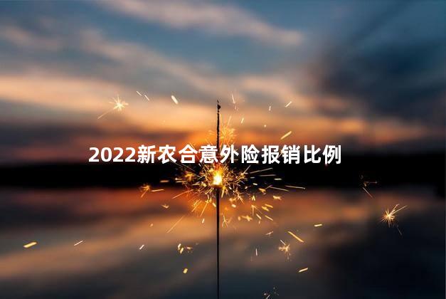 2022新农合意外险报销比例