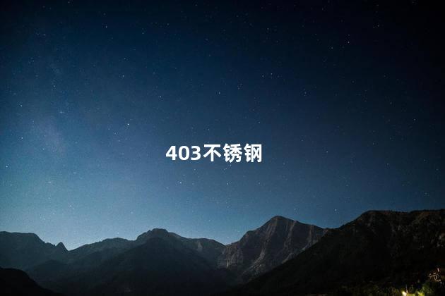 403不锈钢