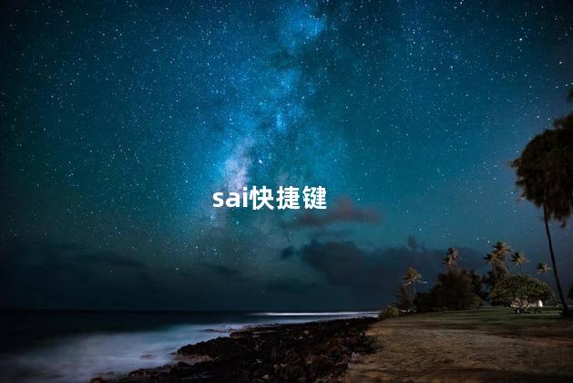 sai快捷键