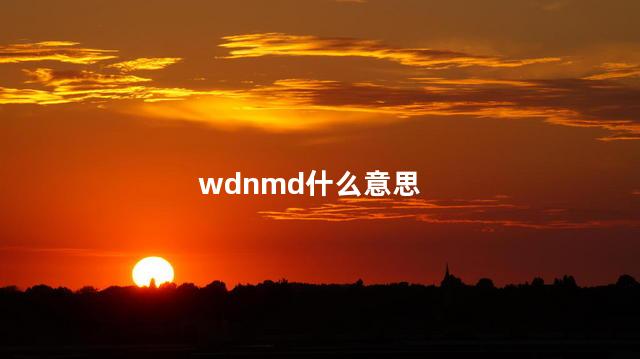 wdnmd什么意思