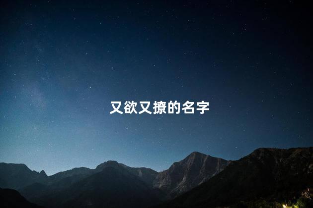 又欲又撩的名字