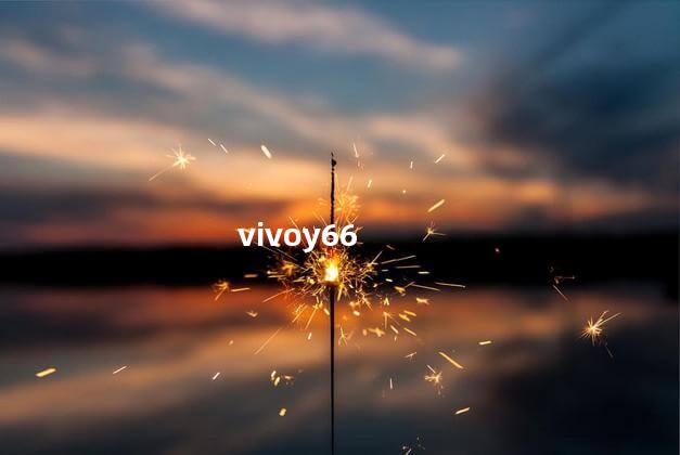 vivoy66