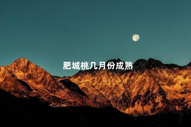 肥城桃几月份成熟