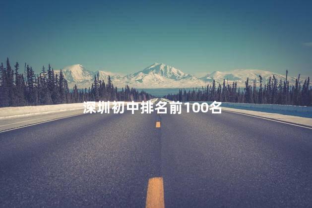 深圳初中排名前100名