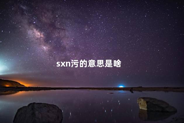 sxn污的意思是啥