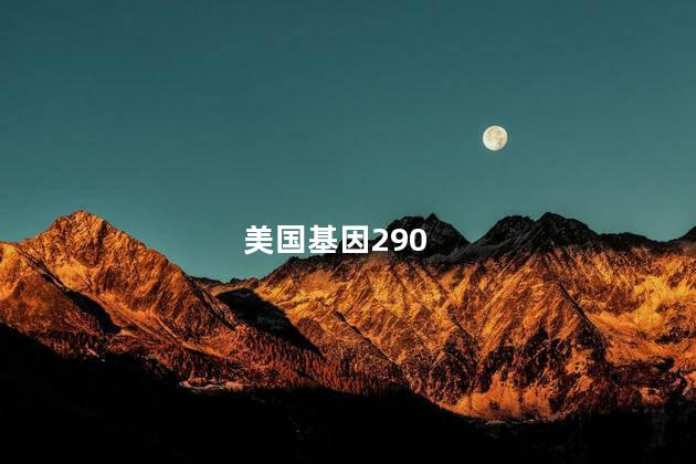 美国基因290