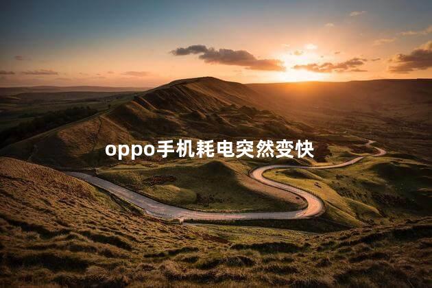 oppo手机耗电突然变快