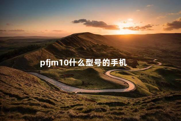 pfjm10什么型号的手机