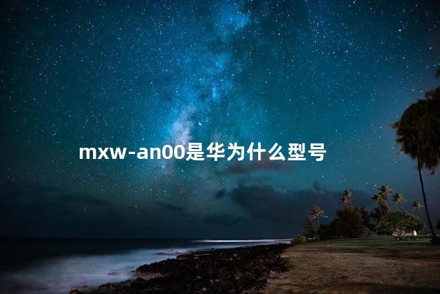 mxw-an00是华为什么型号