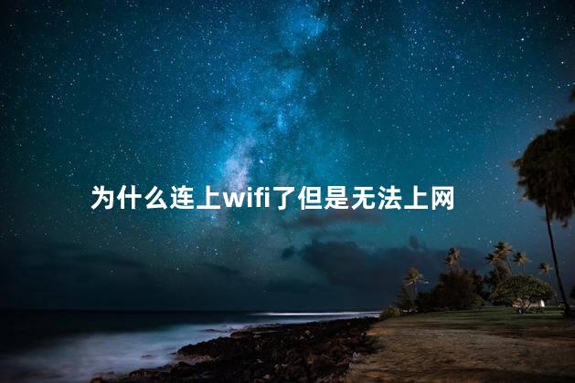 为什么连上wifi了但是无法上网