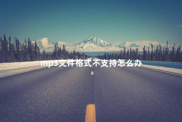 mp3文件格式不支持怎么办