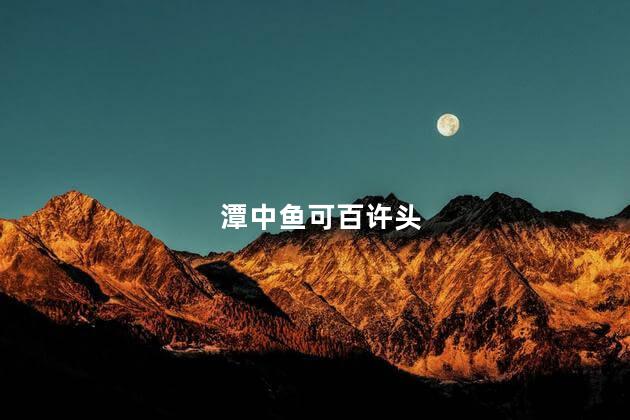 潭中鱼可百许头