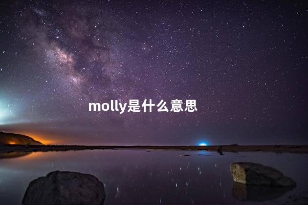 molly是什么意思