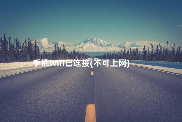 手机wifi已连接(不可上网)