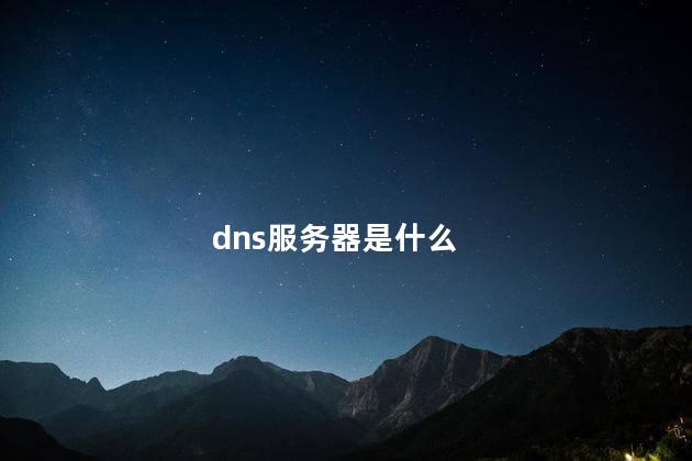 dns服务器是什么