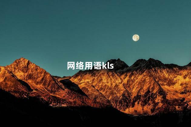 网络用语kls