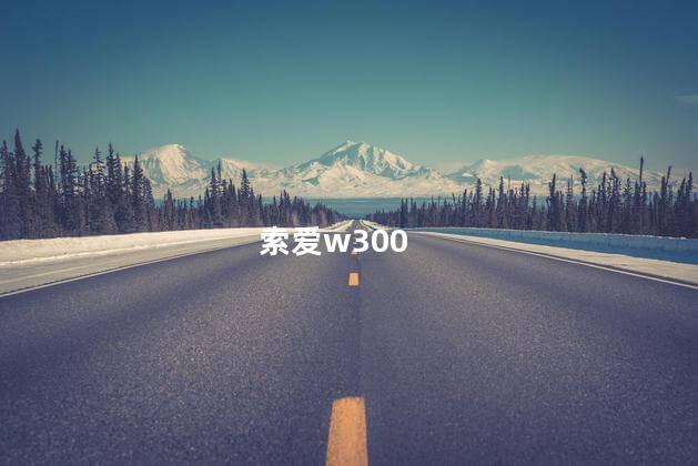 索爱w300