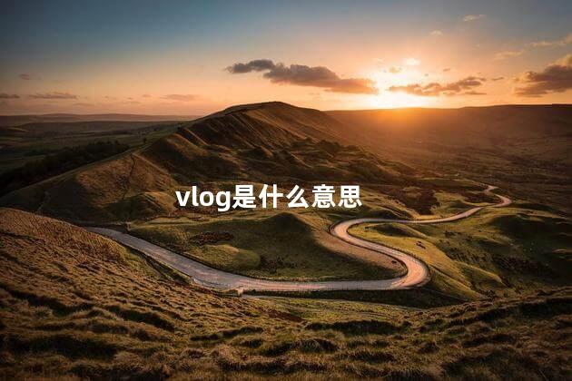 vlog是什么意思