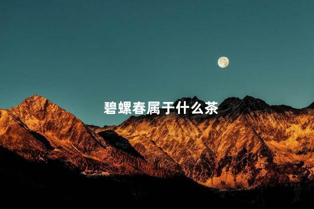 碧螺春属于什么茶