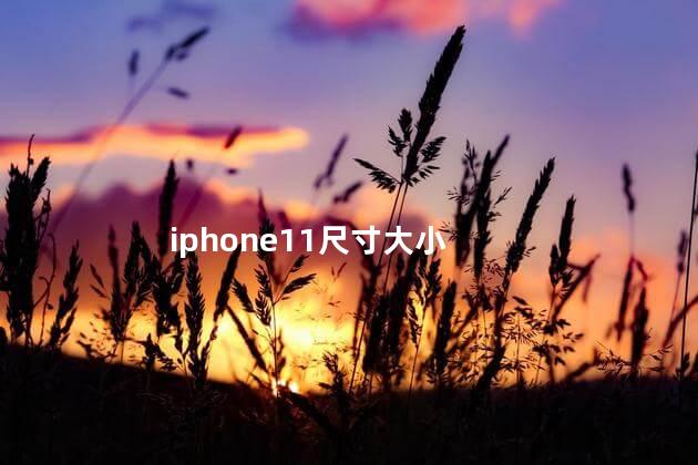 iphone11尺寸大小