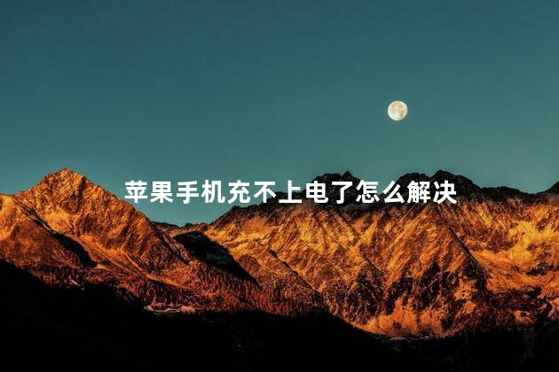 苹果手机充不上电了怎么解决