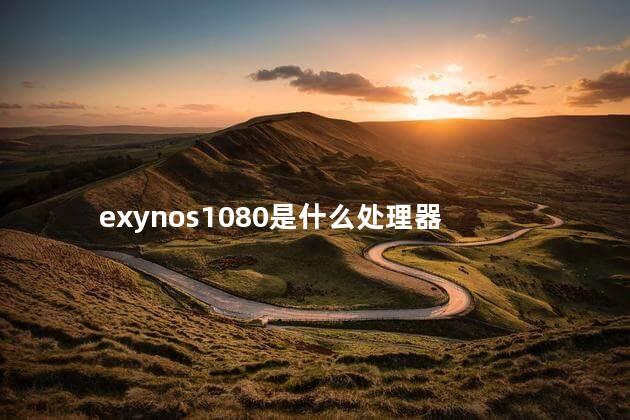 exynos1080是什么处理器