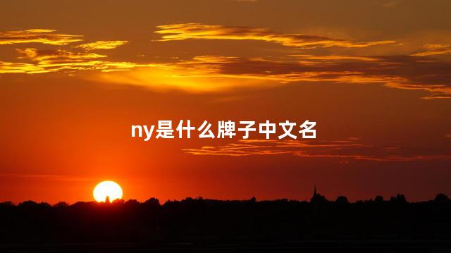 ny是什么牌子中文名