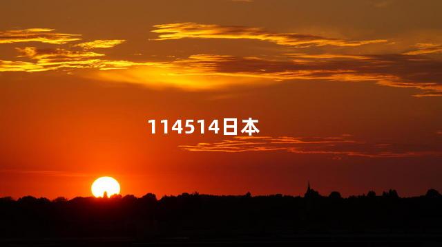 114514日本